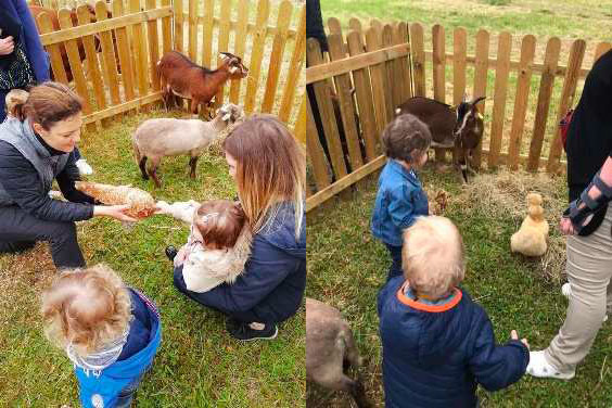 La micro-crÃ¨che Les Galipettes